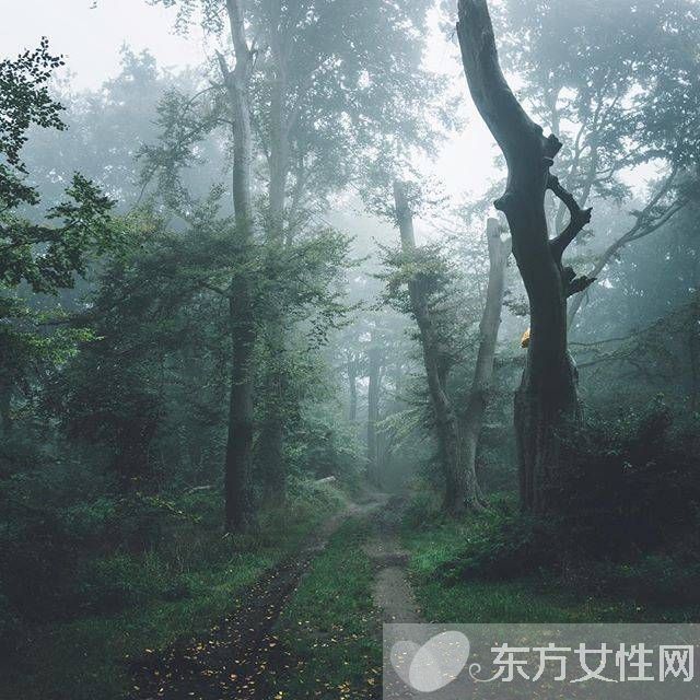 春季潤(rùn)燥吃什么好 5種食物讓你降火潤(rùn)燥養(yǎng)生