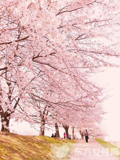 飯后百步走真的科學嗎 當心這些危害害了你