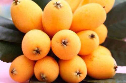 枇杷的功效與作用都有哪些 它的食用方法又有哪幾種