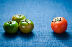 蔬菜吃不對恐成砒霜 以下這九種要注意