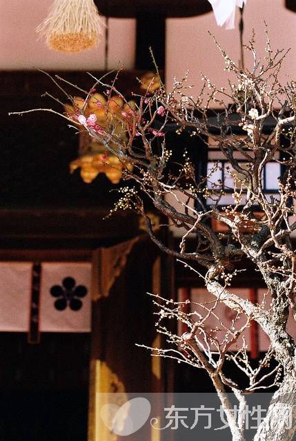 飯后百步走真的科學嗎 當心這些危害害了你