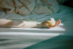 女性脫發(fā)竟然是因為這些問題 9大妙招你值得一看