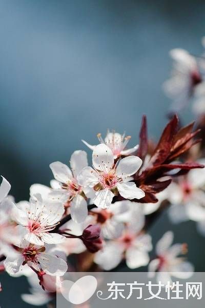 春季養(yǎng)肝食譜 多吃這些讓你健康一整年