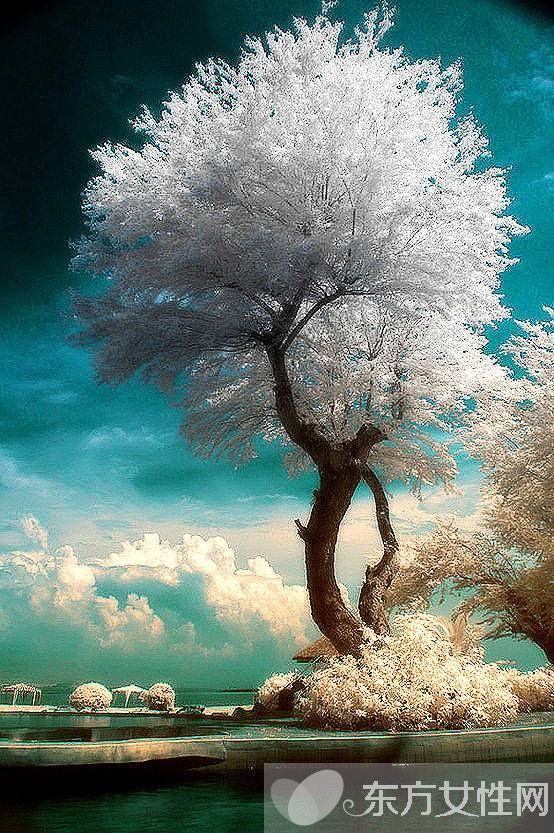 類風(fēng)濕和風(fēng)濕有什么區(qū)別 治療的方式是不是截然不同的