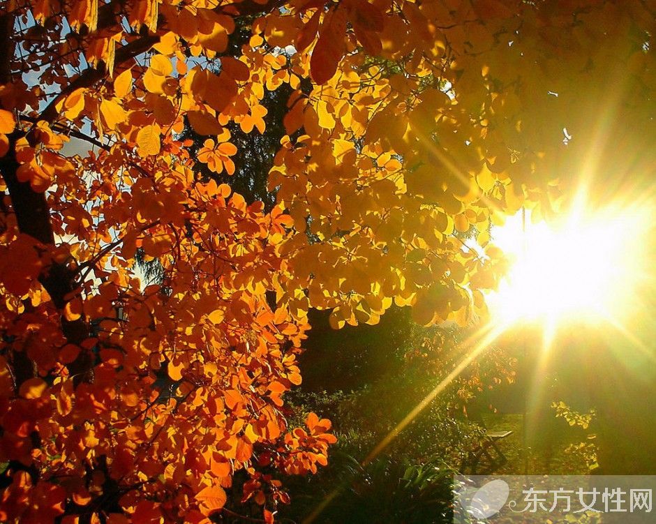 經(jīng)常熬夜吃什么好 什么食物才能緩解眼疲勞