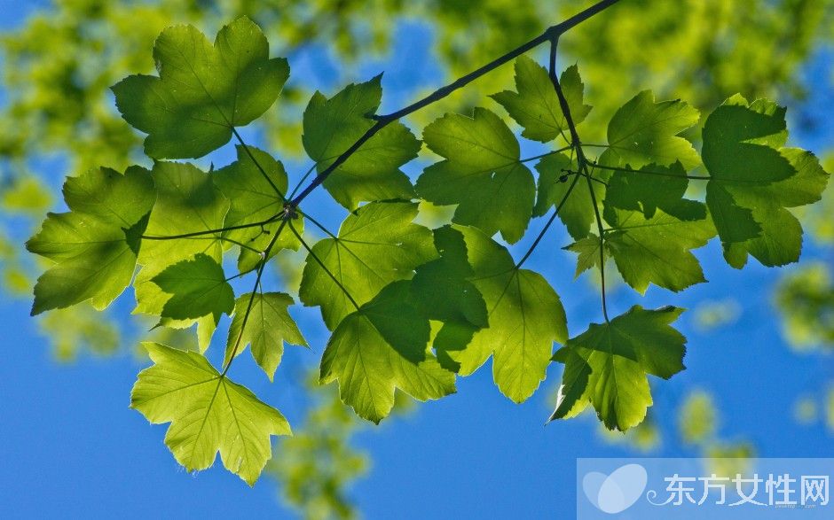 長(zhǎng)期久坐的危害 3個(gè)小動(dòng)作讓你輕松對(duì)抗久坐