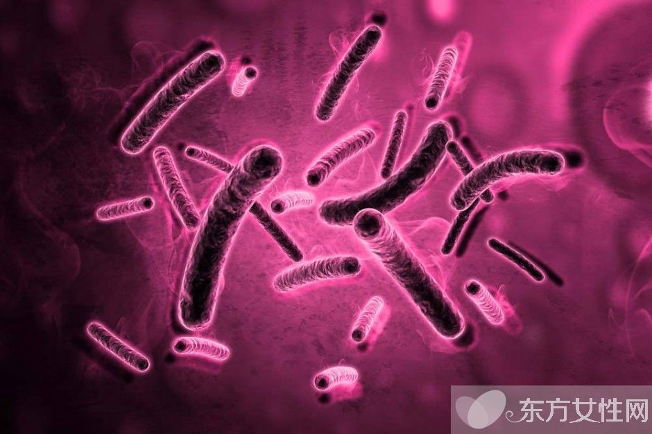 肝癌晚期如何治療 肝癌晚期護(hù)理要注意四點(diǎn)