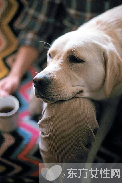 偏癱患者飲食要注意哪些 該怎么預(yù)防及預(yù)后