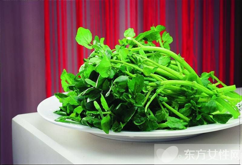 西洋菜的禁忌有哪些 它都有哪些功效與作用