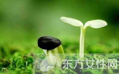 如何防御禽流感 別慌把這些辦法牢記在心