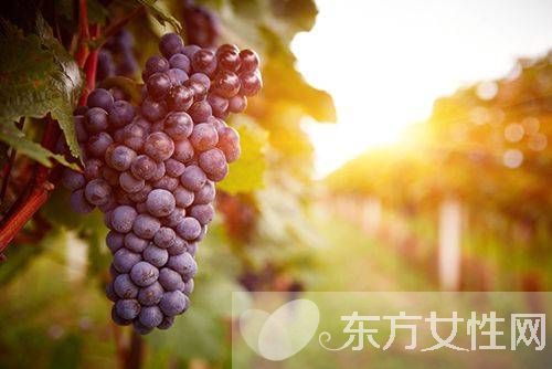 吃紫色食物的好處 健康從吃開始