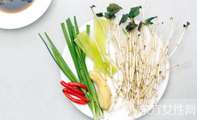 魚腥草要怎么吃 它的療效都有哪些快來看看吧