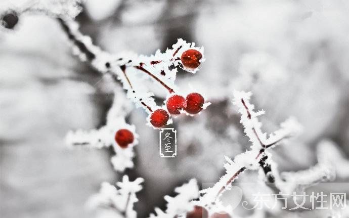 冬至養(yǎng)生4個要點 揭最適合冬至吃的養(yǎng)生食物