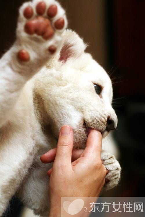 偏癱患者飲食要注意哪些 該怎么預(yù)防及預(yù)后
