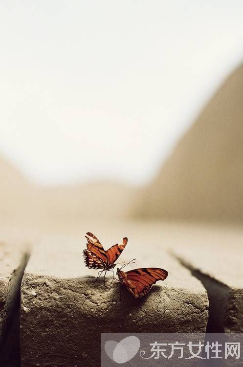 類風(fēng)濕和風(fēng)濕有什么區(qū)別 治療的方式是不是截然不同的