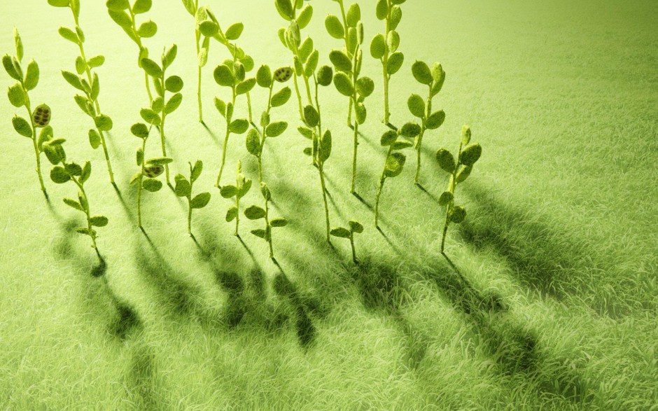 該如何預(yù)防癌癥 記住這幾點(diǎn)遠(yuǎn)離癌癥