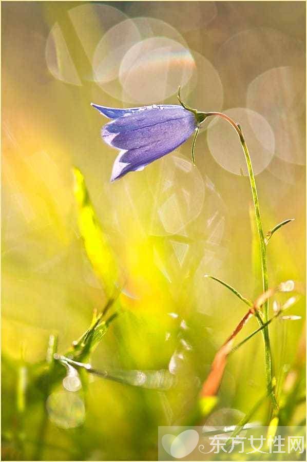 花粉過敏該如何預(yù)防 6招讓遠(yuǎn)離過敏痛苦