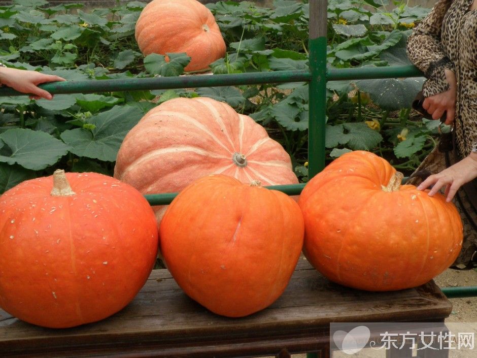 大暑吃什么好 吃這些養(yǎng)生又有益