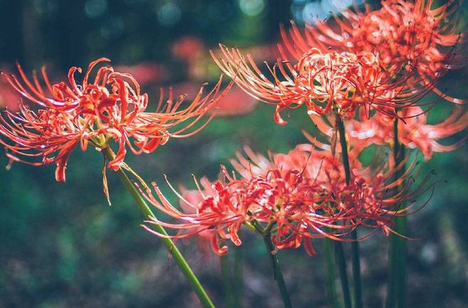 花粉過敏該如何預防 6招讓遠離過敏痛苦