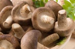 四種食物減肥健康吃法 吃對了才能瘦