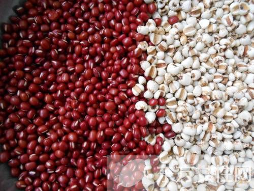 紅豆薏米這樣吃能減肥 它有哪些禁忌呢