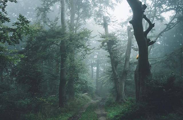 春季潤燥吃什么好 5種食物讓你降火潤燥養(yǎng)生