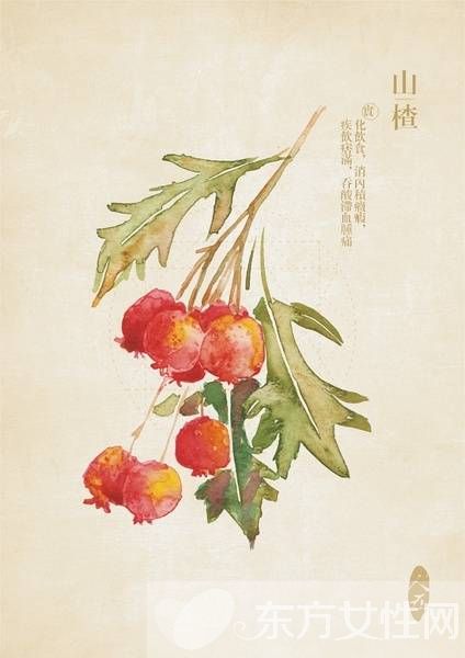 吃山楂的禁忌有哪些 千萬別吃了山楂又吃這些