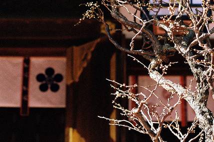 飯后百步走真的科學(xué)嗎 當(dāng)心這些危害害了你