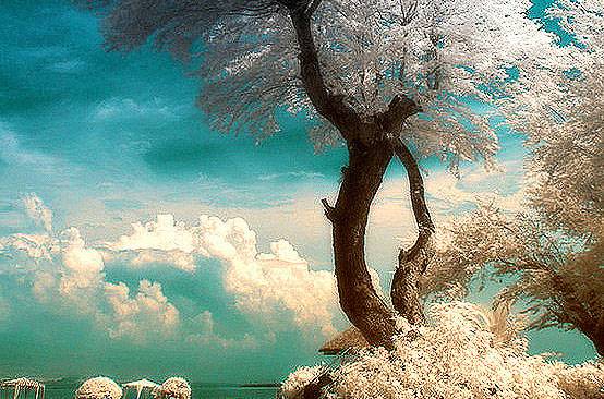 類風(fēng)濕和風(fēng)濕有什么區(qū)別 治療的方式是不是截然不同的