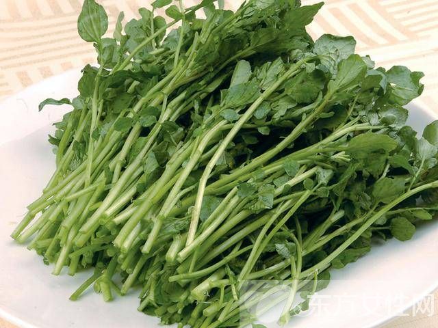 西洋菜的禁忌有哪些 它都有哪些功效與作用
