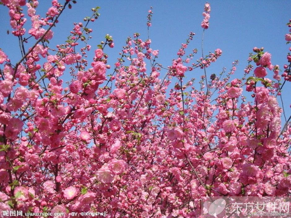 春困怎么辦 學(xué)會(huì)這些小妙招完勝春困