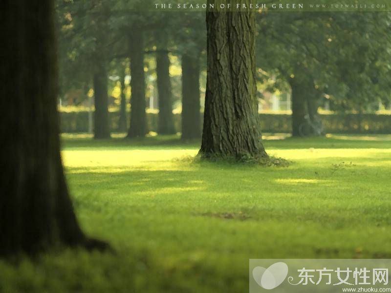 該如何預(yù)防癌癥 記住這幾點(diǎn)遠(yuǎn)離癌癥