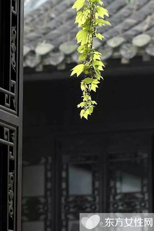 春季養(yǎng)肝食譜 多吃這些讓你健康一整年