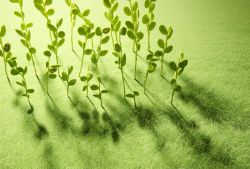 該如何預(yù)防癌癥 記住這幾點遠(yuǎn)離癌癥