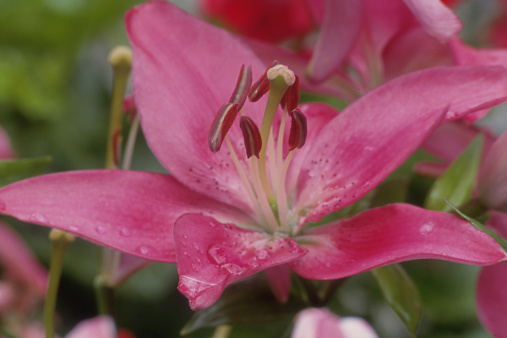 卵巢保養(yǎng)秘方有哪些 內(nèi)外調(diào)養(yǎng)是關(guān)鍵