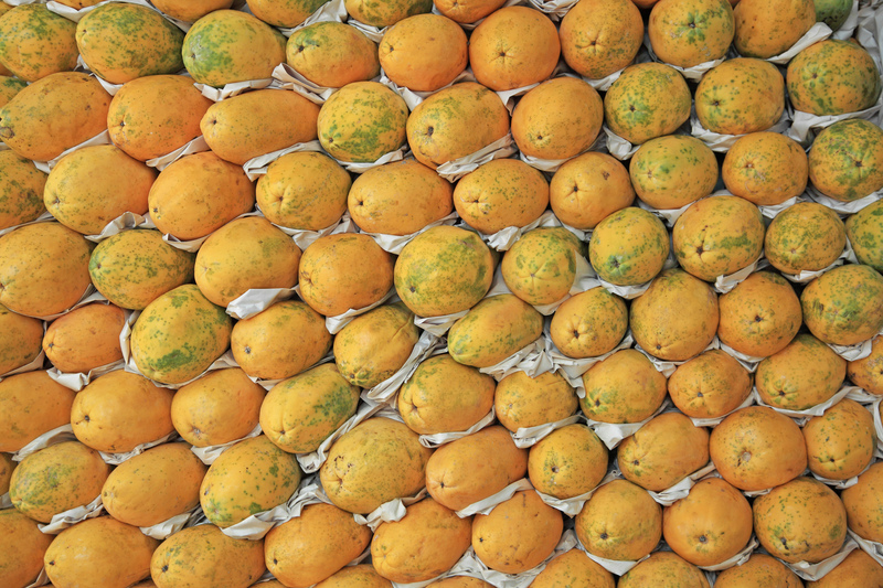 木瓜豐胸的最佳做法 有幾種食療做法