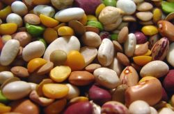 老年人降血壓的食物有哪些 高血壓哪些食物不能吃