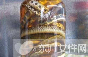 烏梢蛇的功效作用 烏梢蛇的4大食用方法