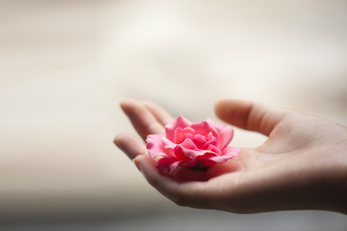 外陰發(fā)炎的原因 外陰炎的護(hù)理和預(yù)防方法