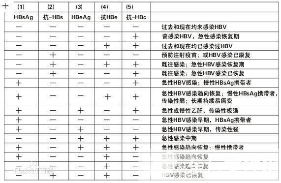 乙肝兩對(duì)半是什么 乙肝兩對(duì)半對(duì)照表