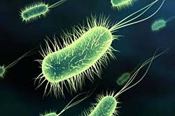 結(jié)核性腦膜炎會傳染嗎 腦膜炎的傳染途徑