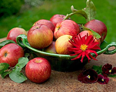 什么水果含糖低呢 專家分享含糖量最低的六大水果