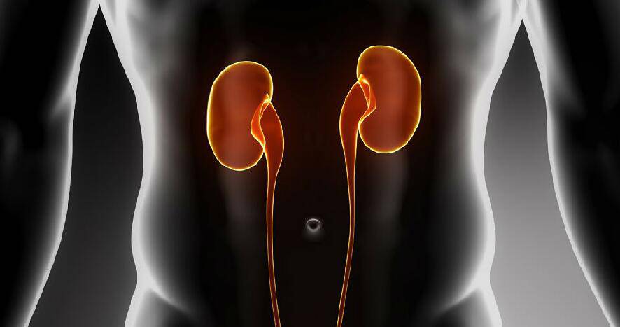 老中醫(yī)的十種養(yǎng)腎方法 吃什么最養(yǎng)腎