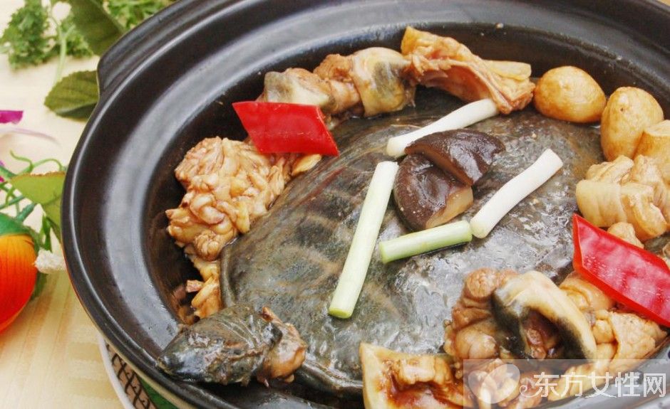 甲魚的營養(yǎng)價(jià)值以及甲魚湯的做法