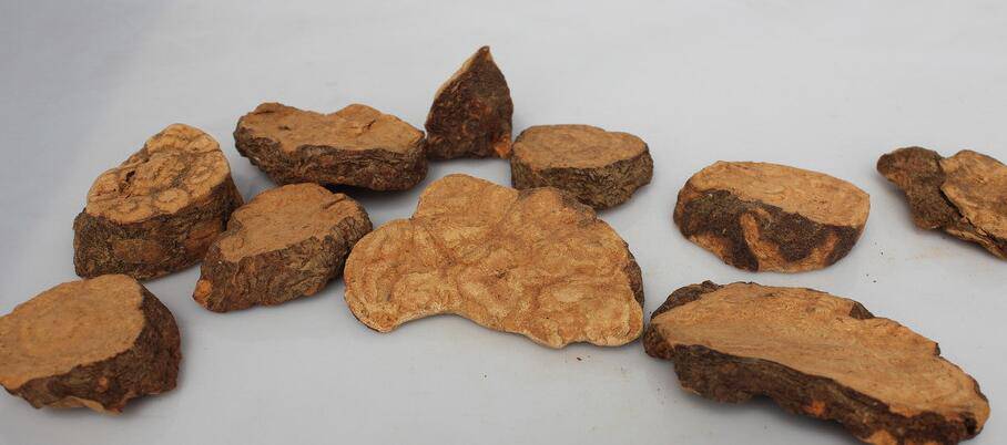 何首烏的功效與作用 它有哪些副作用