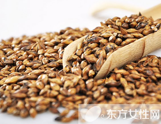 大麥茶的作用及功效 喝大麥茶一些禁忌要警惕