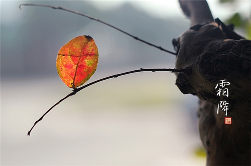 補冬不如補霜降 霜降養(yǎng)生要注意哪些