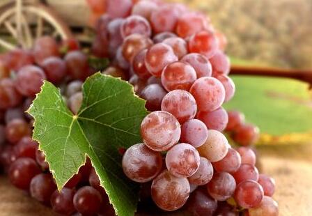 平常發(fā)燒吃什么好得快 這些水果幫你驅(qū)趕病魔