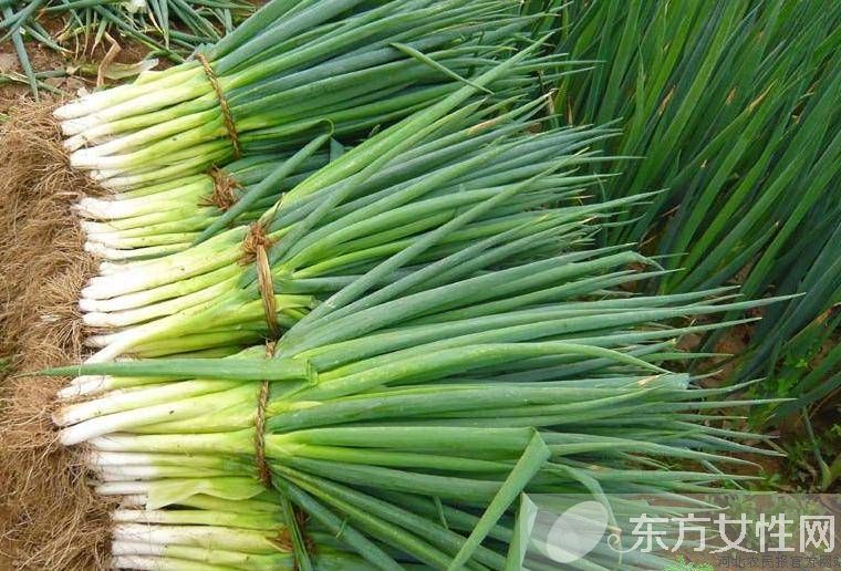 細(xì)菌性感冒和病毒性感冒的區(qū)別 這些食療方超管用