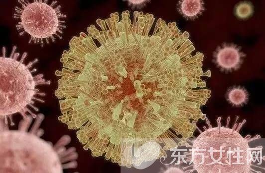 諾如病毒的癥狀有哪些 諾如病毒的7大預(yù)防